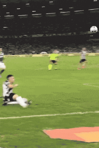 Gol Palmeiras GIF