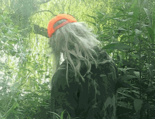 Gold Star Gold Medal GIF