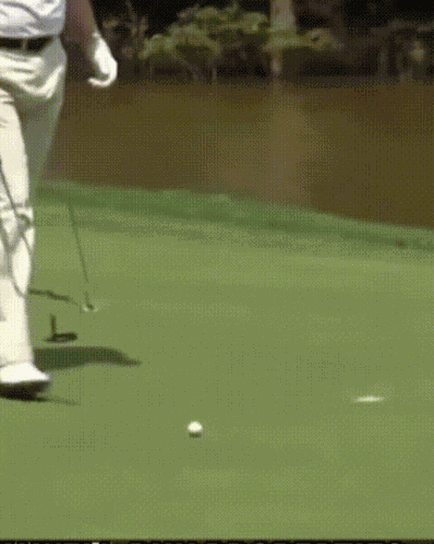 Golf Golfing GIF
