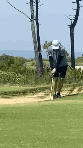 Golf Golfing GIF