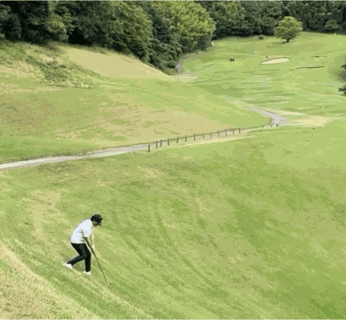 Golf Golfing GIF