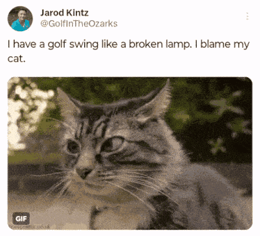 Golf Swing Jarod Kintz GIF