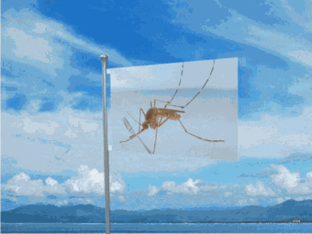 Gomwacafwi Flag GIF