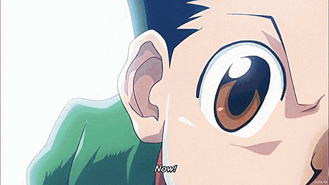 Gon Hunter X Hunter GIF
