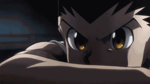 Gon Hxh GIF
