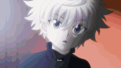 Gon Killua GIF