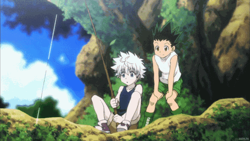 Gon Killua GIF