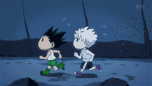 Gon Killua GIF