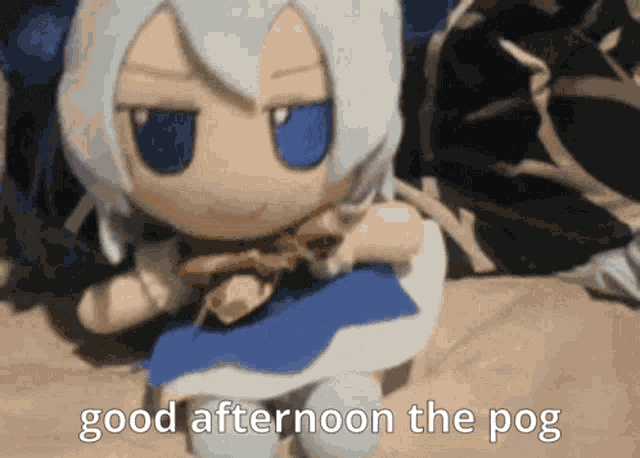 Good Afternoon The Pog GIF