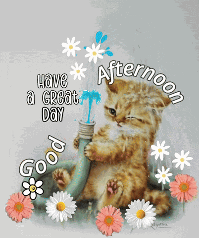 Good Afternoon GIF