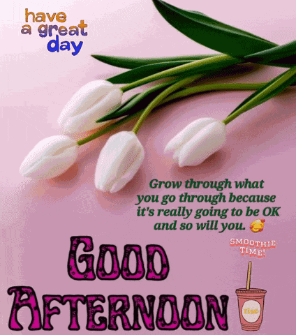Good Afternoon GIF