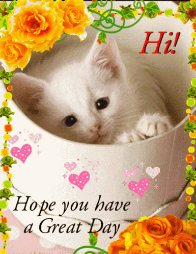 Good Day Hi GIF