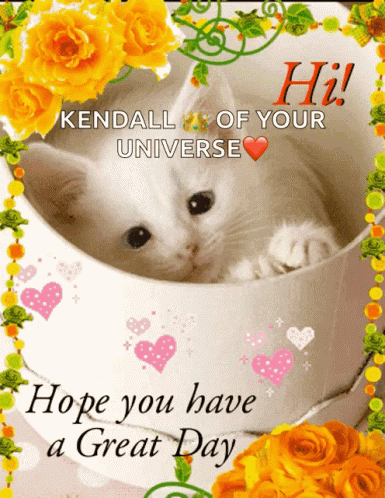 Good Day Hi GIF