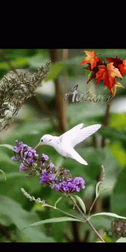 Good Day GIF