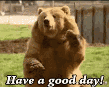 Good Day GIF