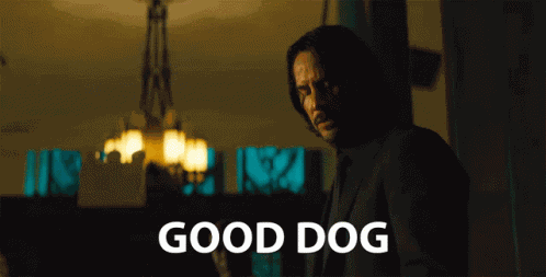 Good Dog Good Boy GIF