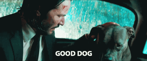 Good Dog Keanu Reeves GIF