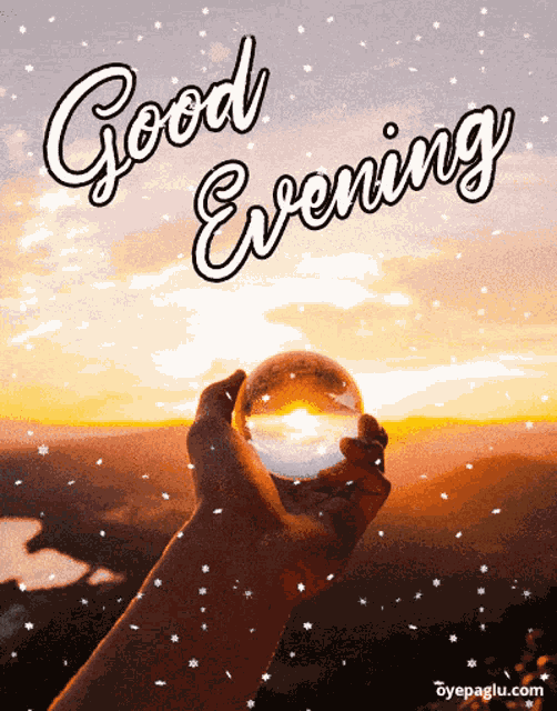 Good Evening GIF