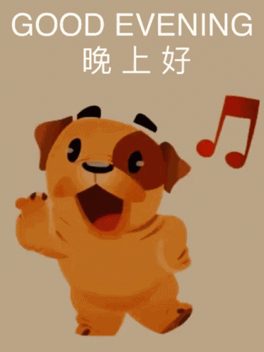Good Evening Dog GIF