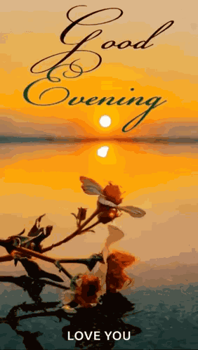 Good Evening Gif Sunset GIF