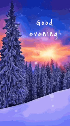 Good Evening Gif Winter GIF