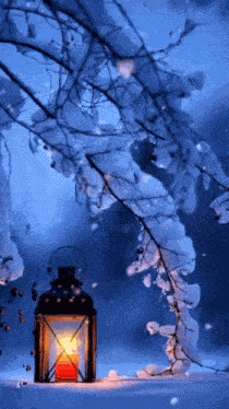 Good Evening Gif Winter GIF