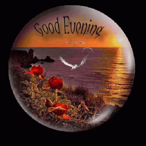 Good Evening Greetings GIF