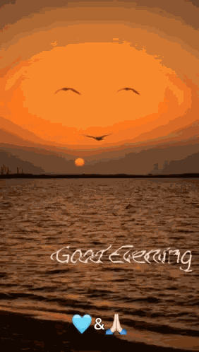 Good Evening Images Good Evening Gif GIF