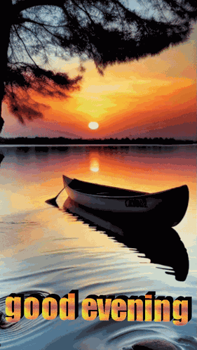 Good Evening Images Good Evening Gif GIF