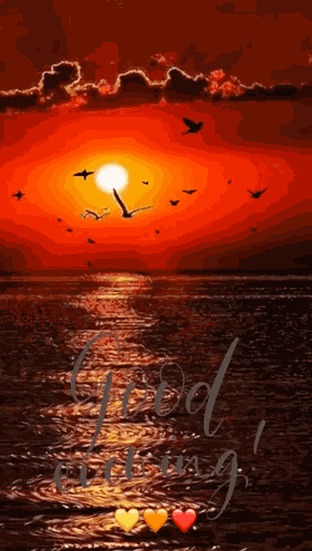 Good Evening Images Good Evening Gif GIF