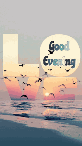 Good Evening Images Good Evening Gif GIF