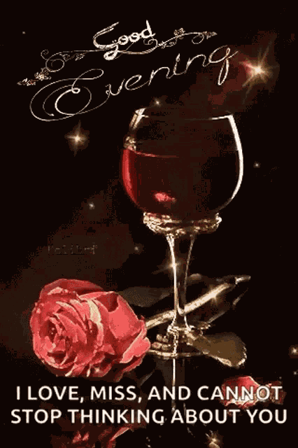 Good Evening Love You GIF