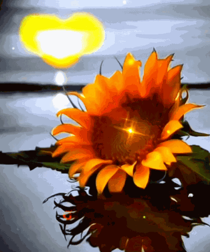 Good Evening New Images GIF