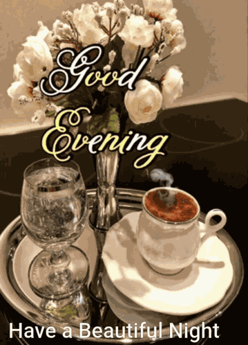 Good Evening GIF