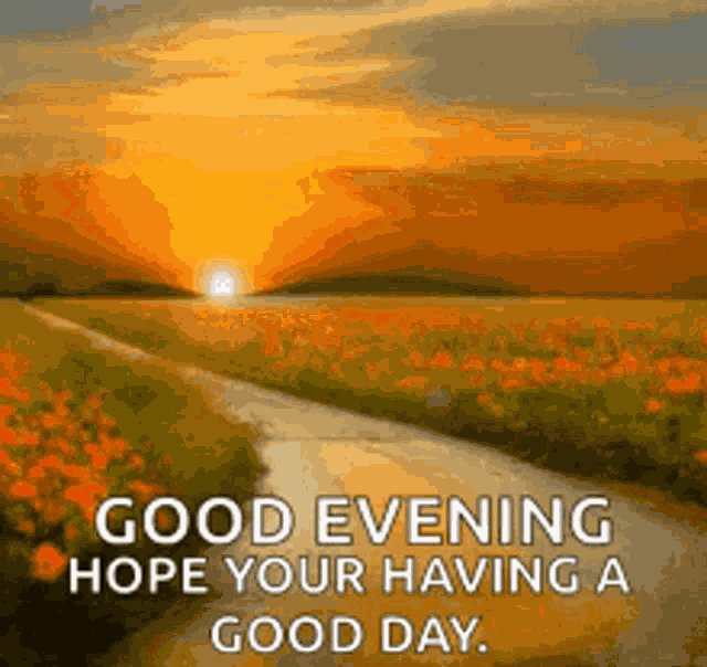 Good Evening Rollygifs GIF