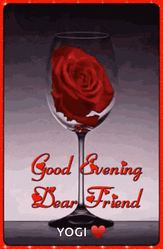 Good Evening Rollygifs GIF