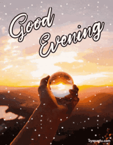 Good Evening Rollygifs GIF