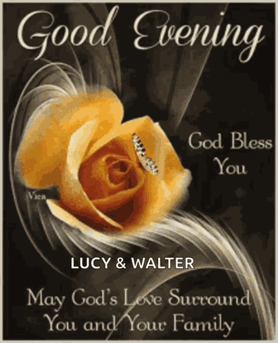 Good Evening Rollygifs GIF