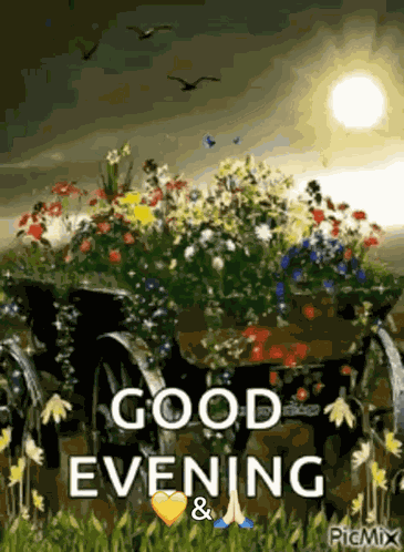 Good Evening Rollygifs GIF