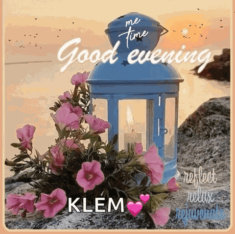 Good Evening GIF