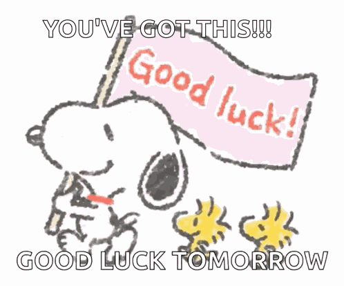 Good Luck GIF