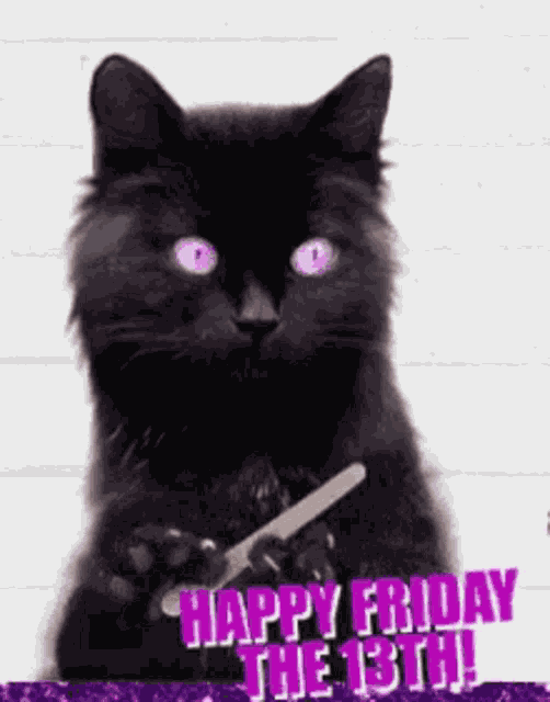 Good Luck On Your Finals Happy Friday The13th GIF