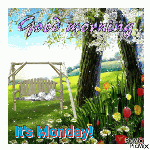 Good Monday Morning GIF