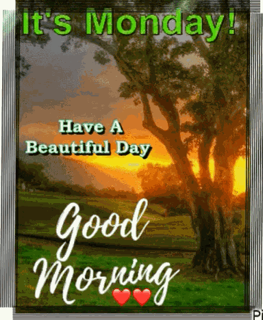 Good Monday Morning GIF
