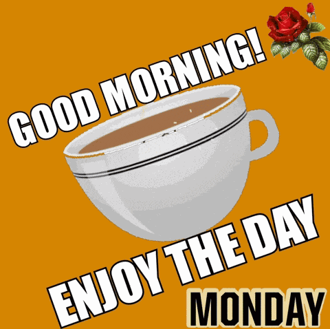 Good Monday Morning GIF