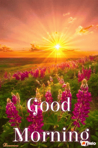 Good Morning शुभ GIF