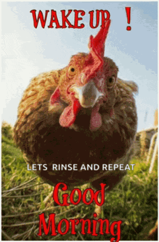Good Morning 2024 Meme