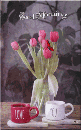 Good Morning GIF