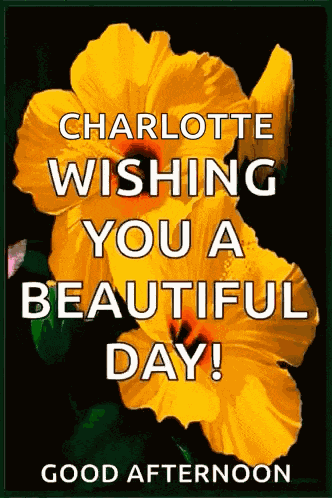 Good Morning GIF