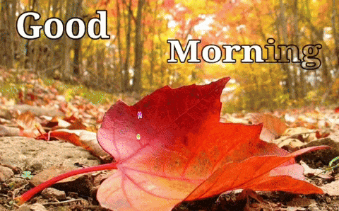 Good Morning Autumn GIF